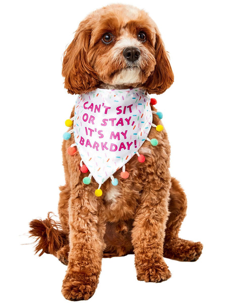 Sprinkled Birthday Bandana Pet Accessory