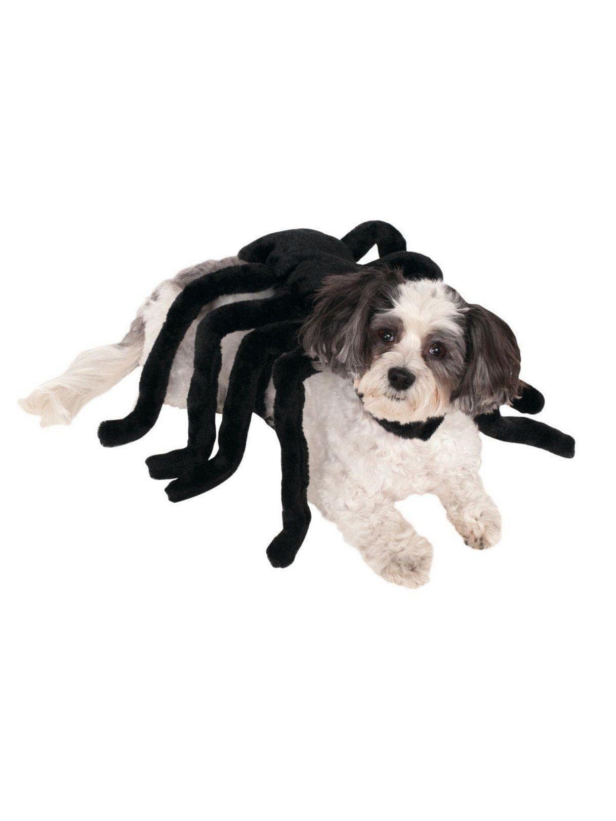 Spooky Black Spider Pet Harness - costumes.com