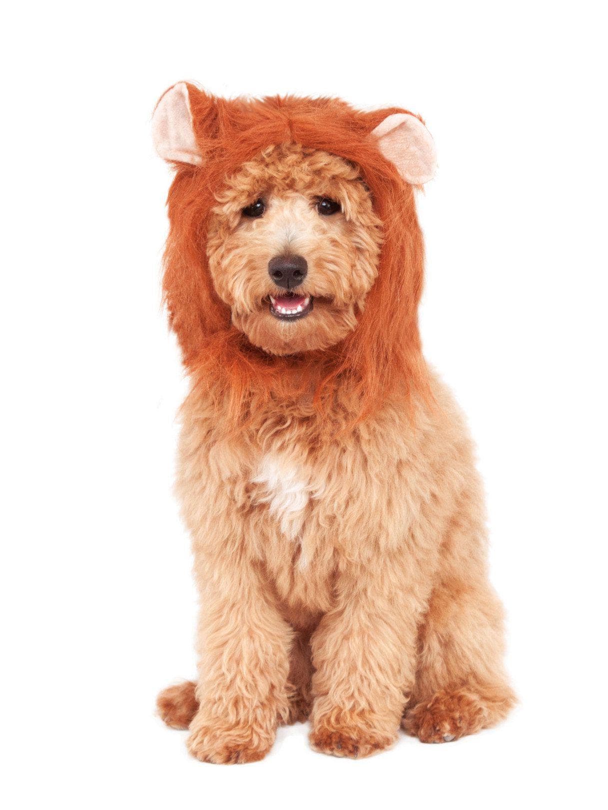 Lion's Mane Pet Headpiece - costumes.com
