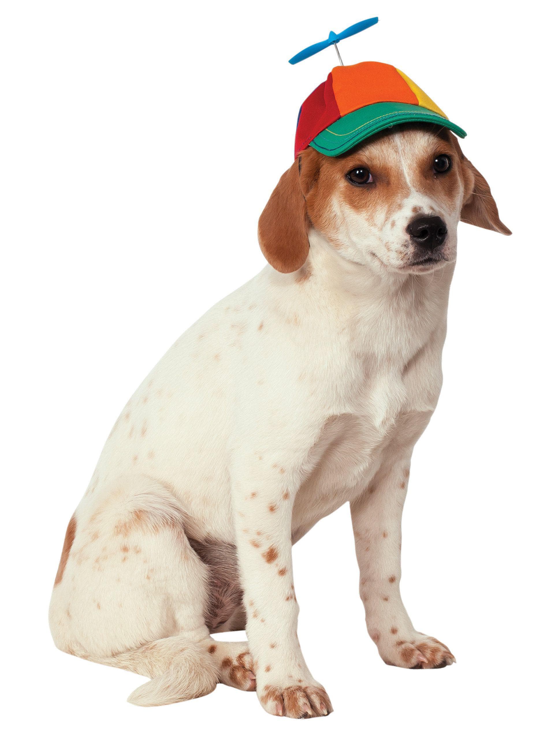 Propeller Pet Hat - costumes.com