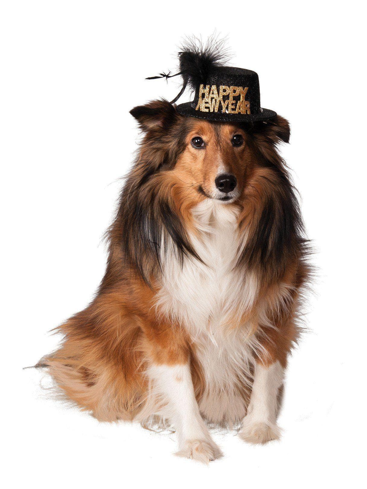 Happy New Year Pet Hat - costumes.com