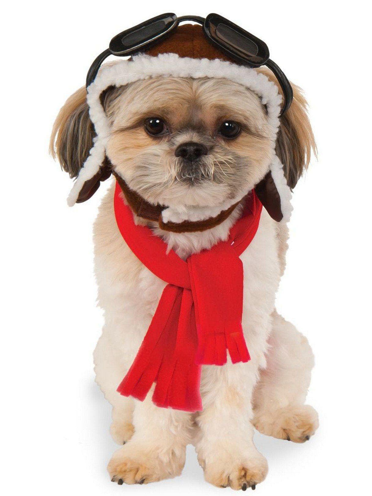 Flying High Aviator Pet Hat and Scarf Set - costumes.com