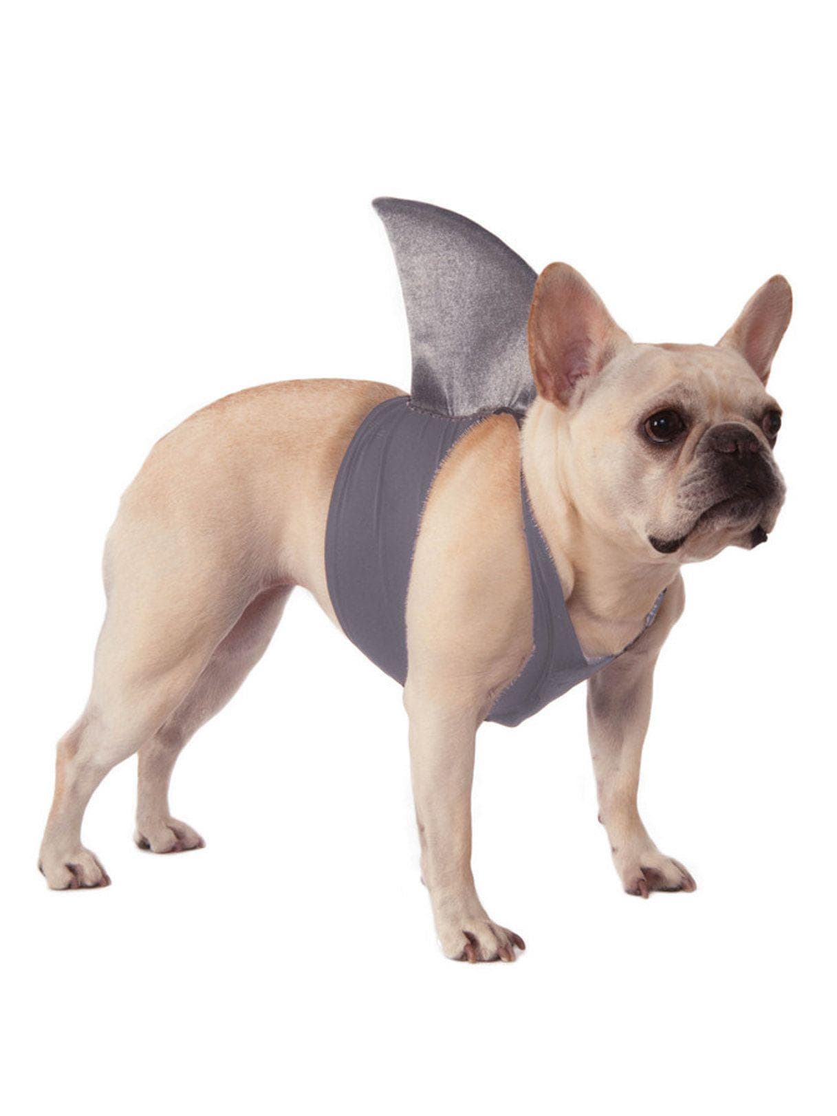 Shark Fin Pet Accessory - costumes.com