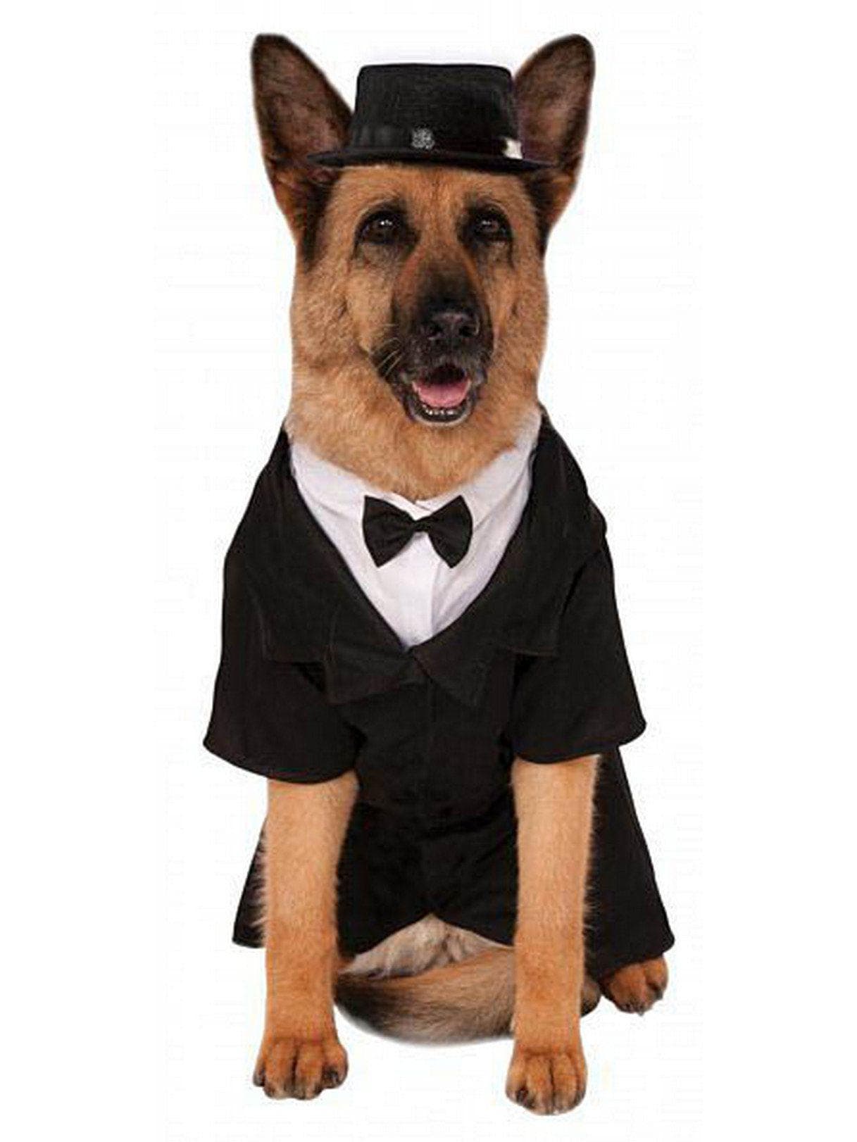 Pet Dapper Dog Big Dog Costume - costumes.com