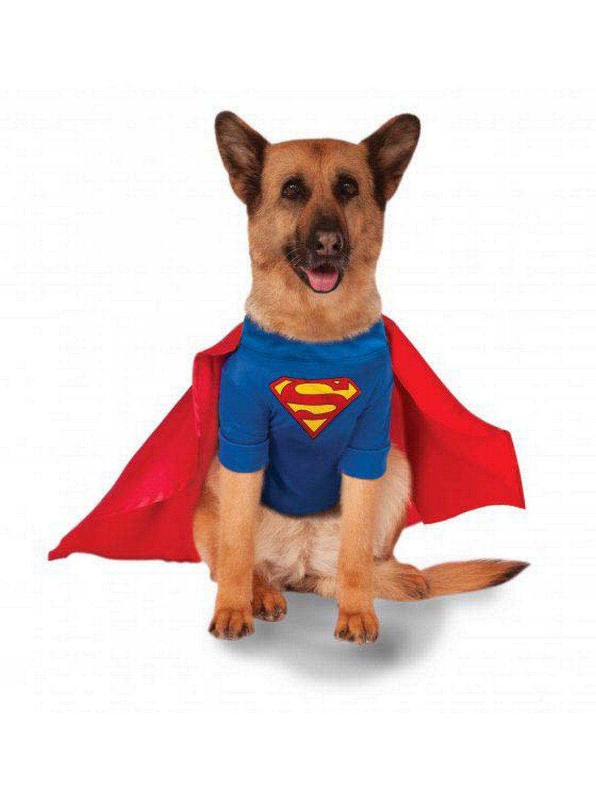 Superman Big Dog Pet Costume - costumes.com
