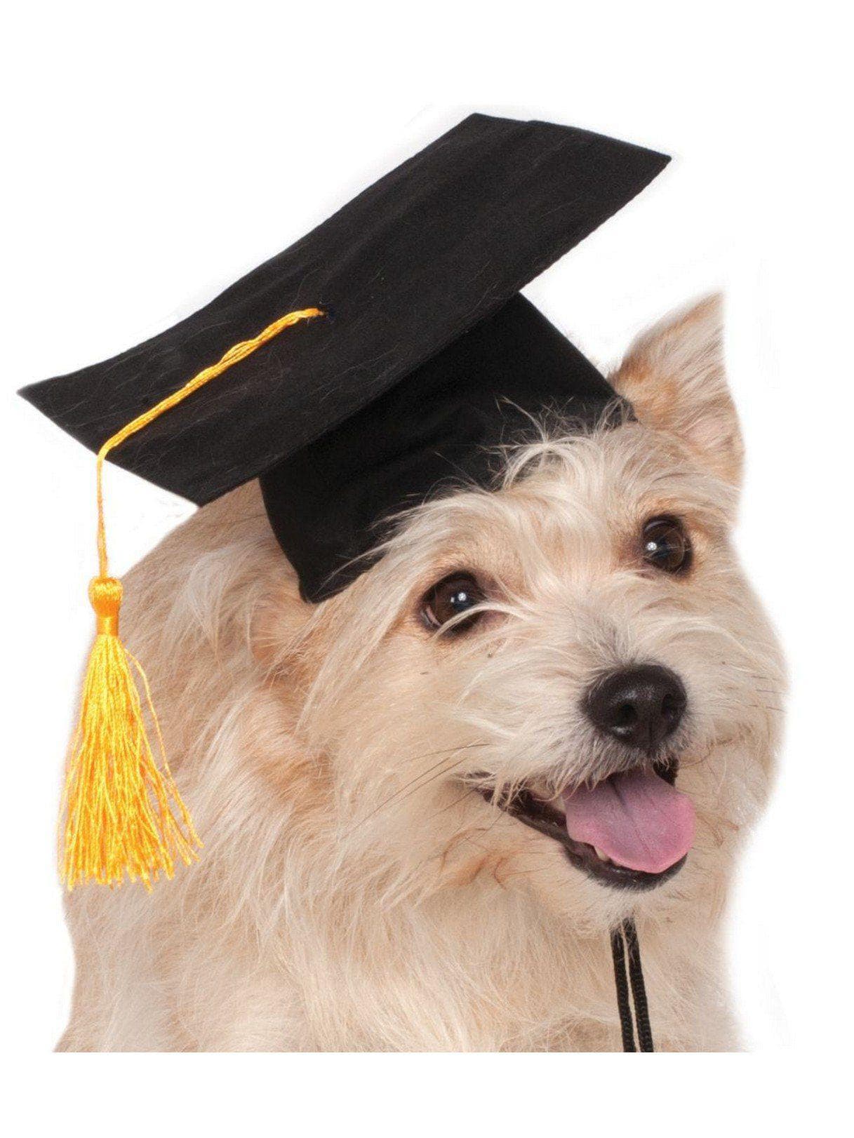 Black Graduation Pet Hat - costumes.com