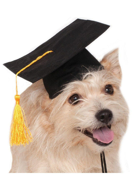 Black Graduation Pet Hat