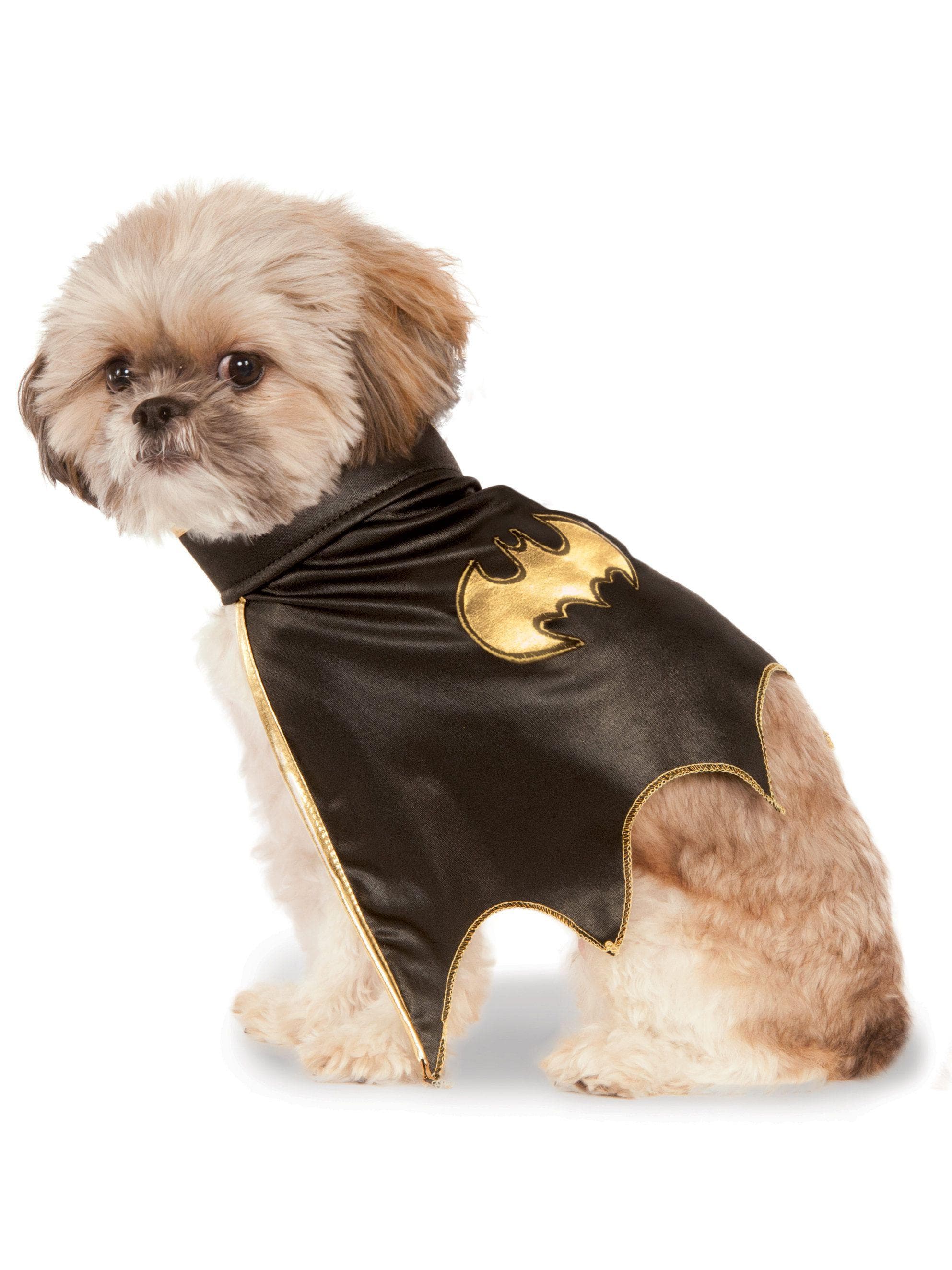 DC Comics Batgirl Pet Cape - costumes.com