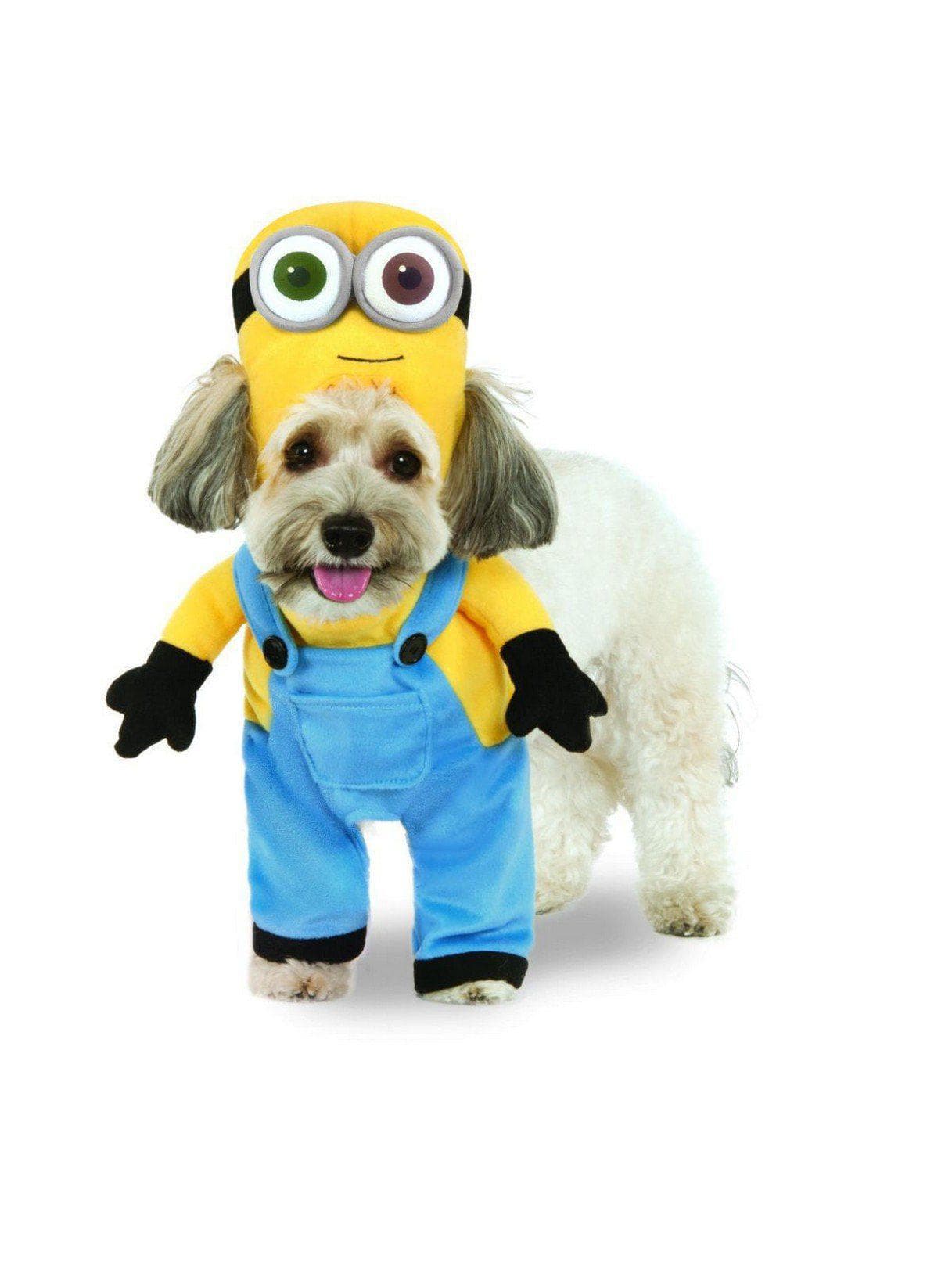 Despicable Me Minion Bob Walking Pet Costume - costumes.com