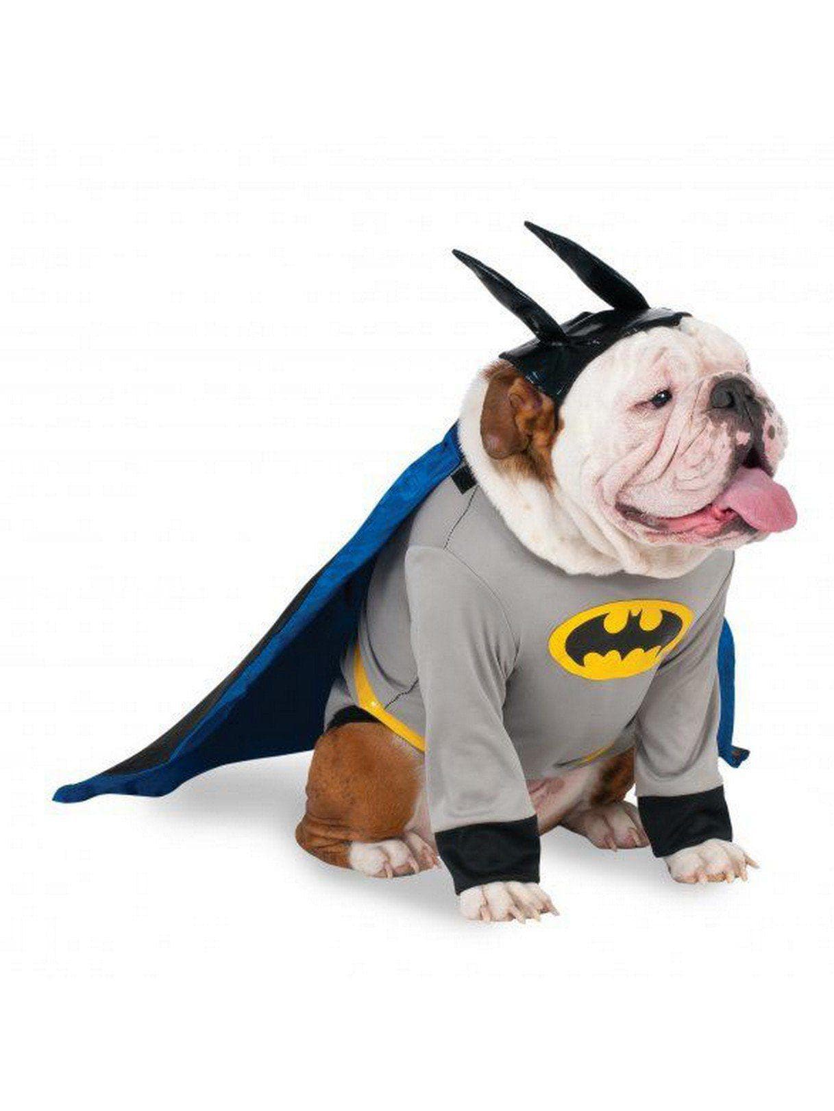 Batman Big Dog Pet Costume - costumes.com