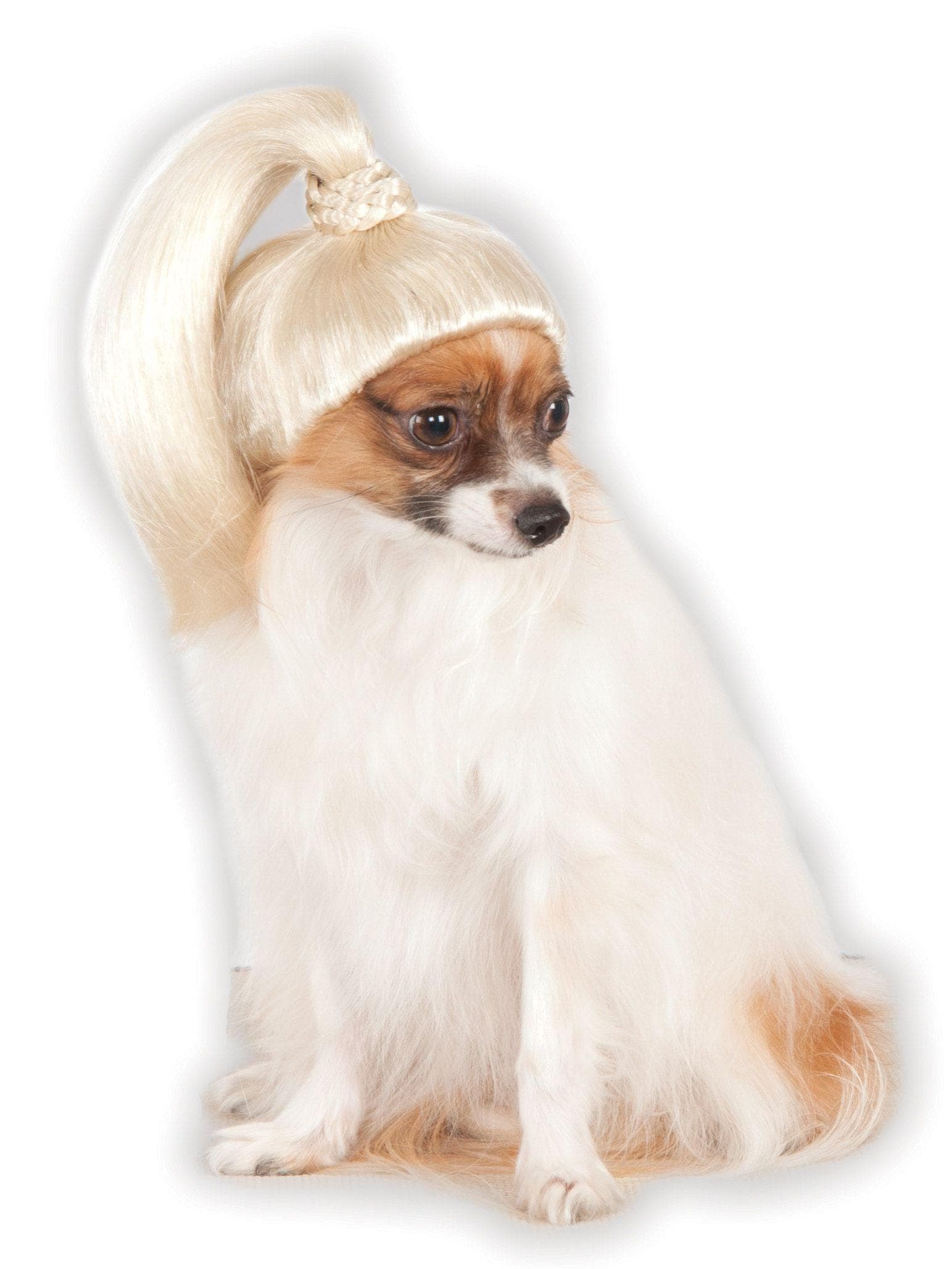 Blonde Pony Tail Pet Headpiece - costumes.com