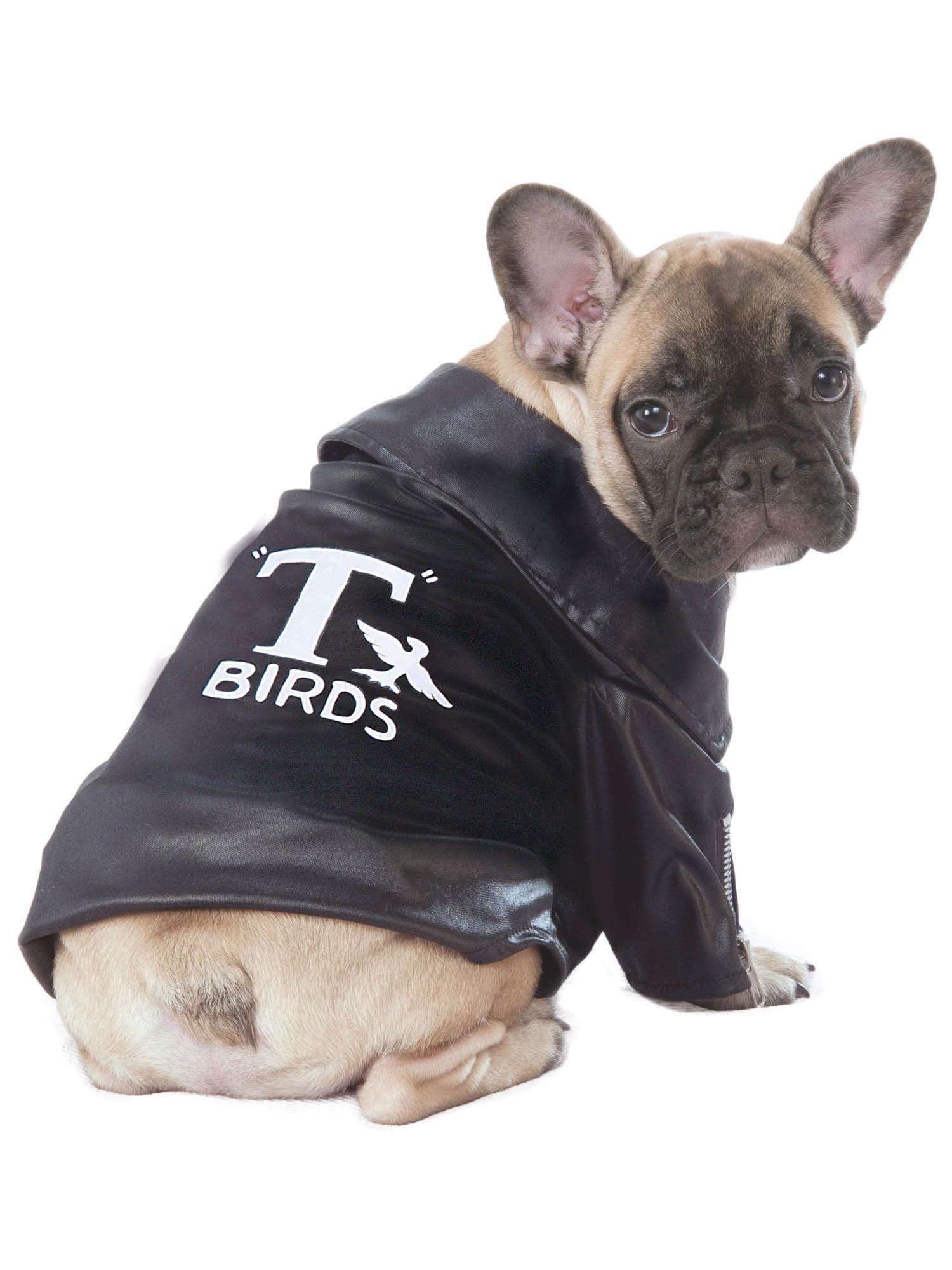 Grease T-Birds Pet Jacket - costumes.com