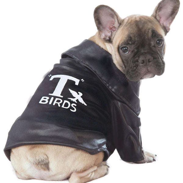 Grease T-Birds Pet Jacket
