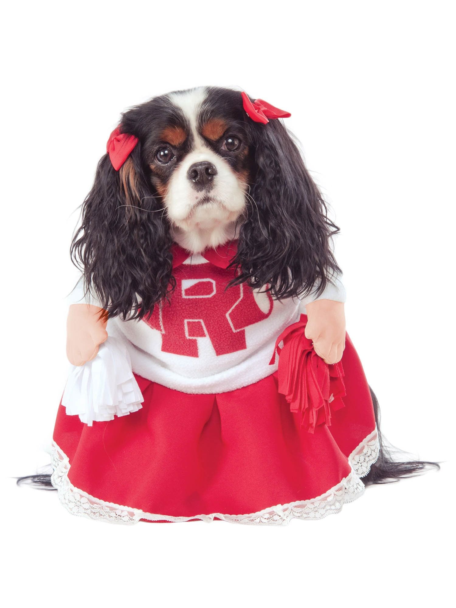 Grease Rydell High Cheerleader Walking Pet Costume - costumes.com