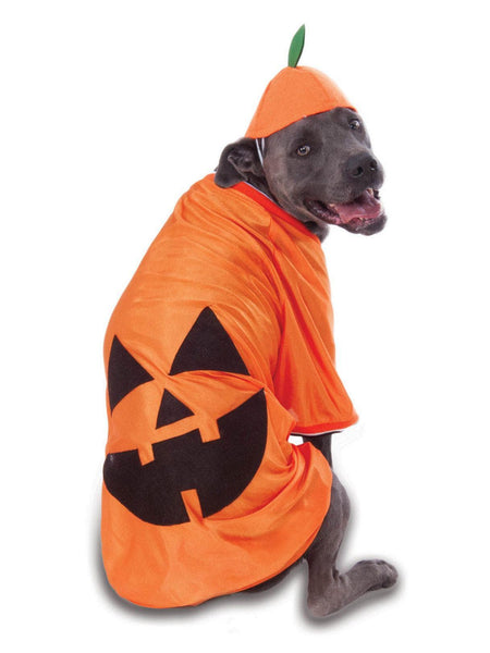 Pet Big Dog Pumpkin Costume