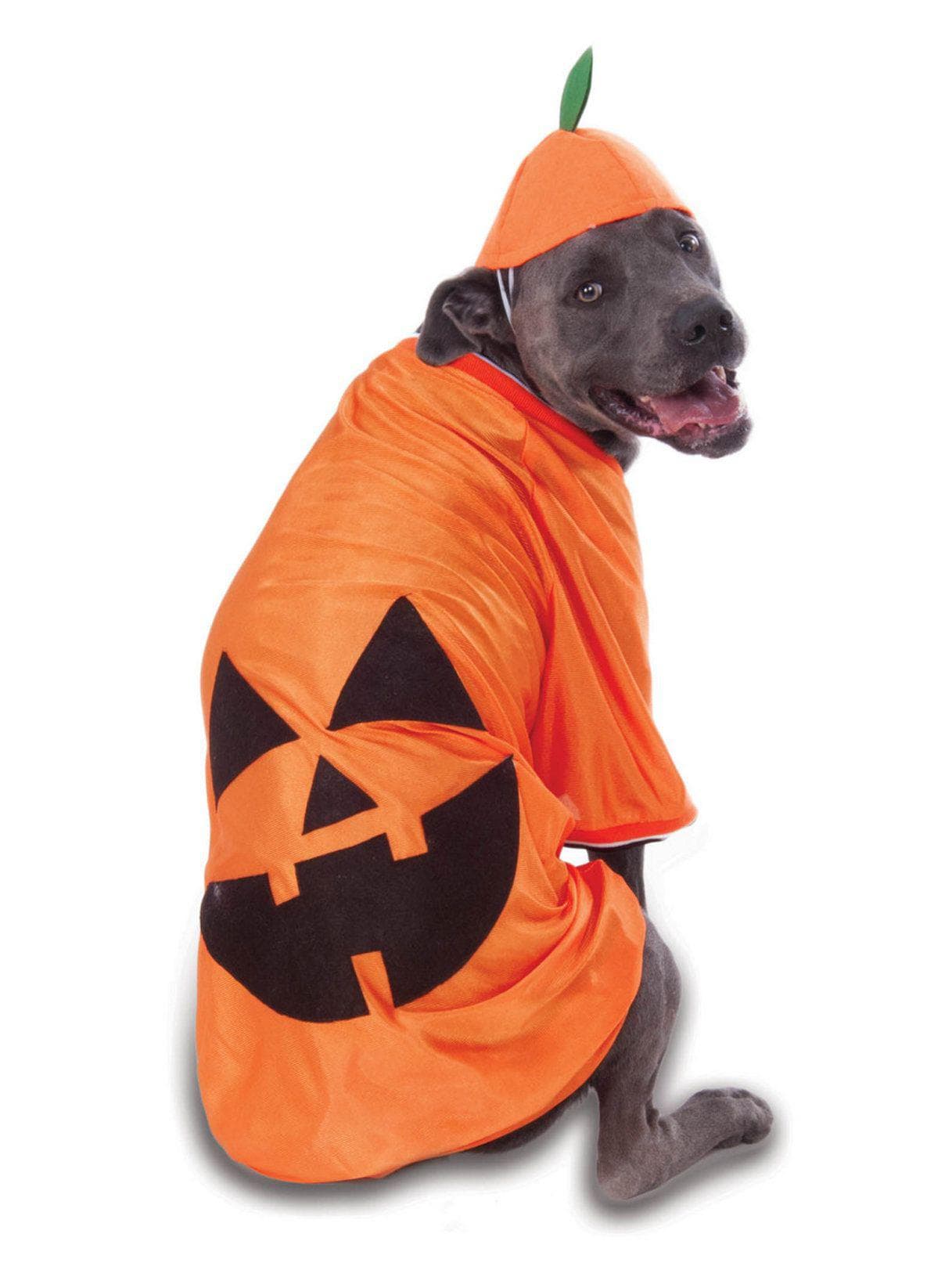 Pet Big Dog Pumpkin Costume - costumes.com
