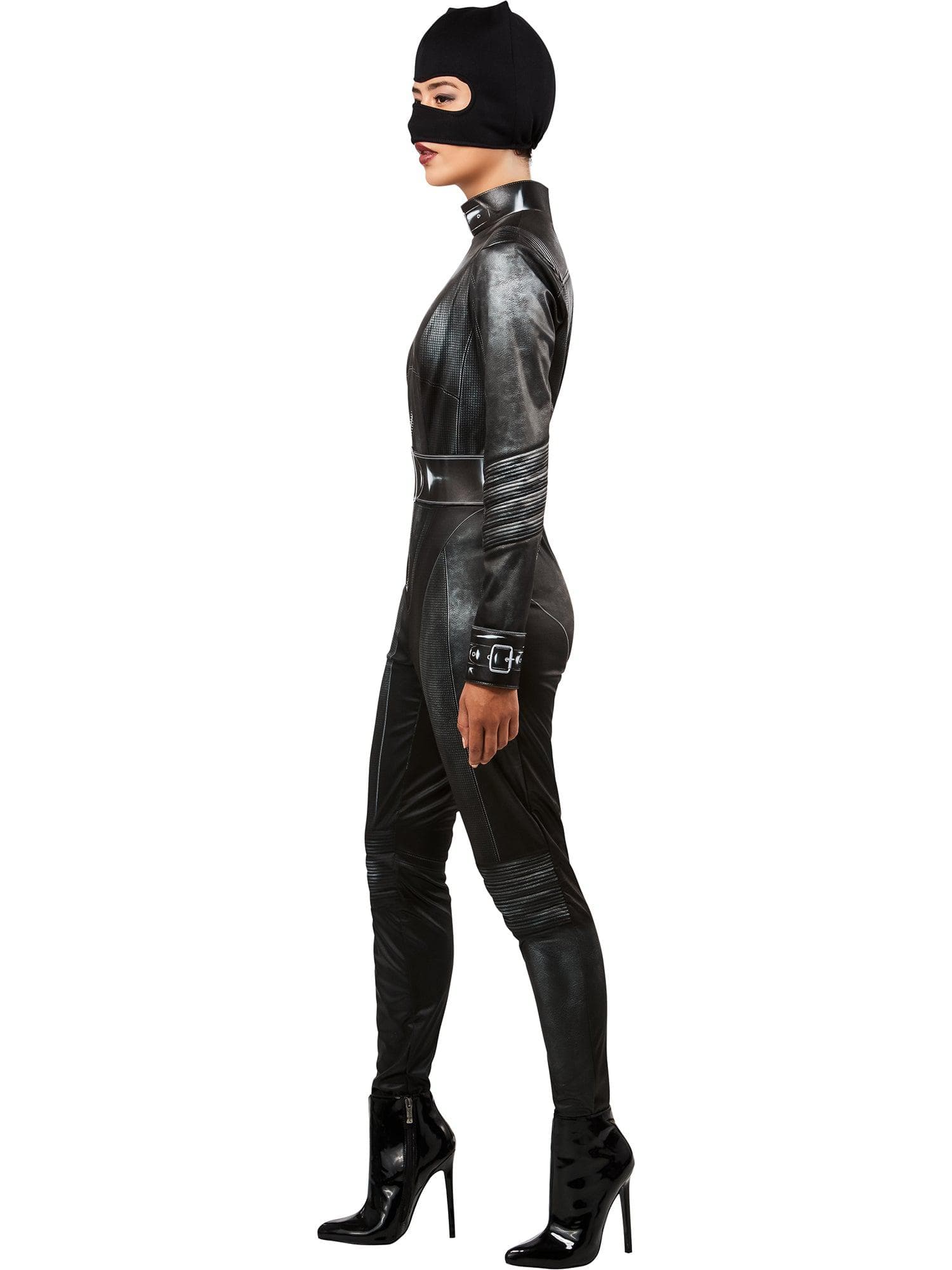 The Batman Adult Selina Kyle Costume - costumes.com