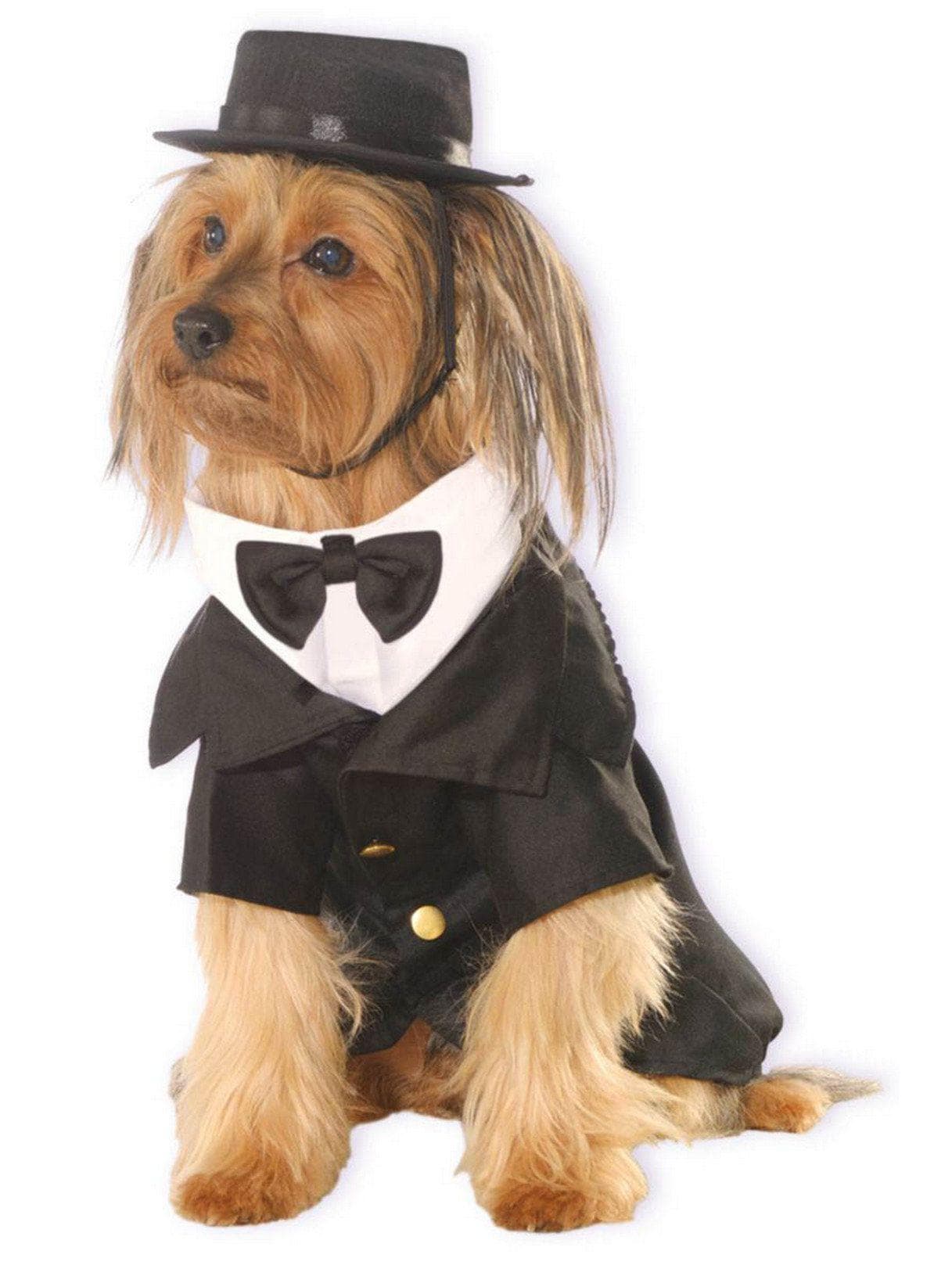 Dapper Dog Tuxedo Pet Costume - costumes.com