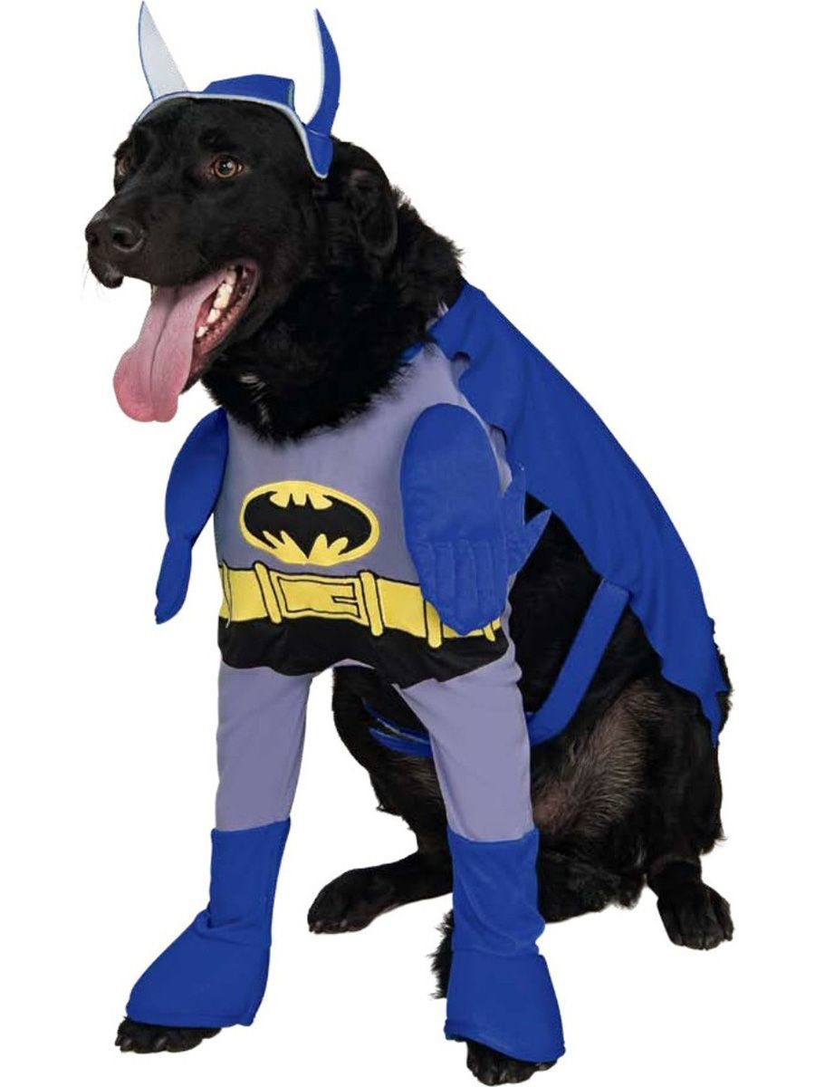 The Brave and The Bold Batman Walking Pet Costume - costumes.com