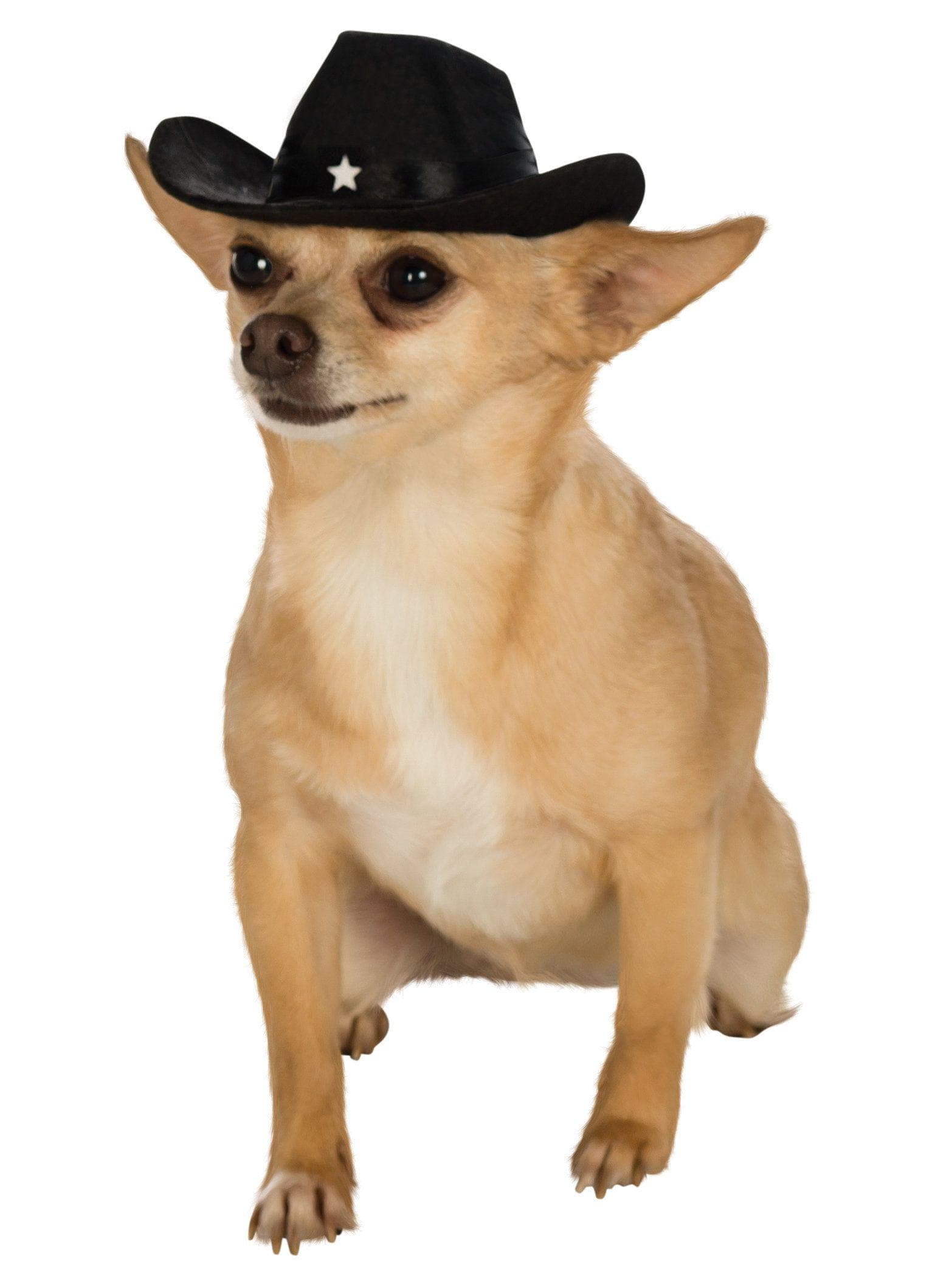 Black Pet Cowboy Hat - costumes.com