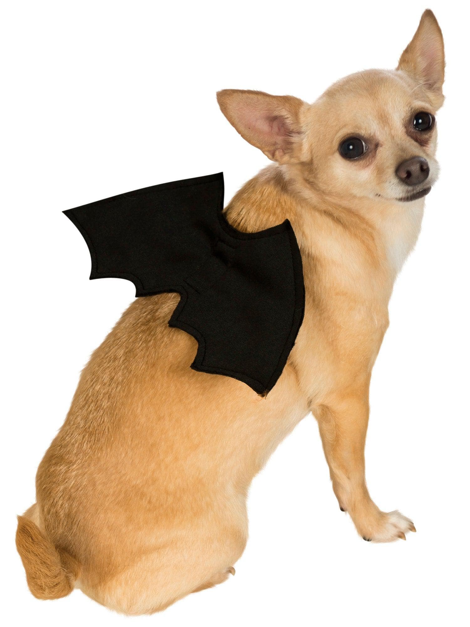 Black Bat Wing Pet Accessory - costumes.com