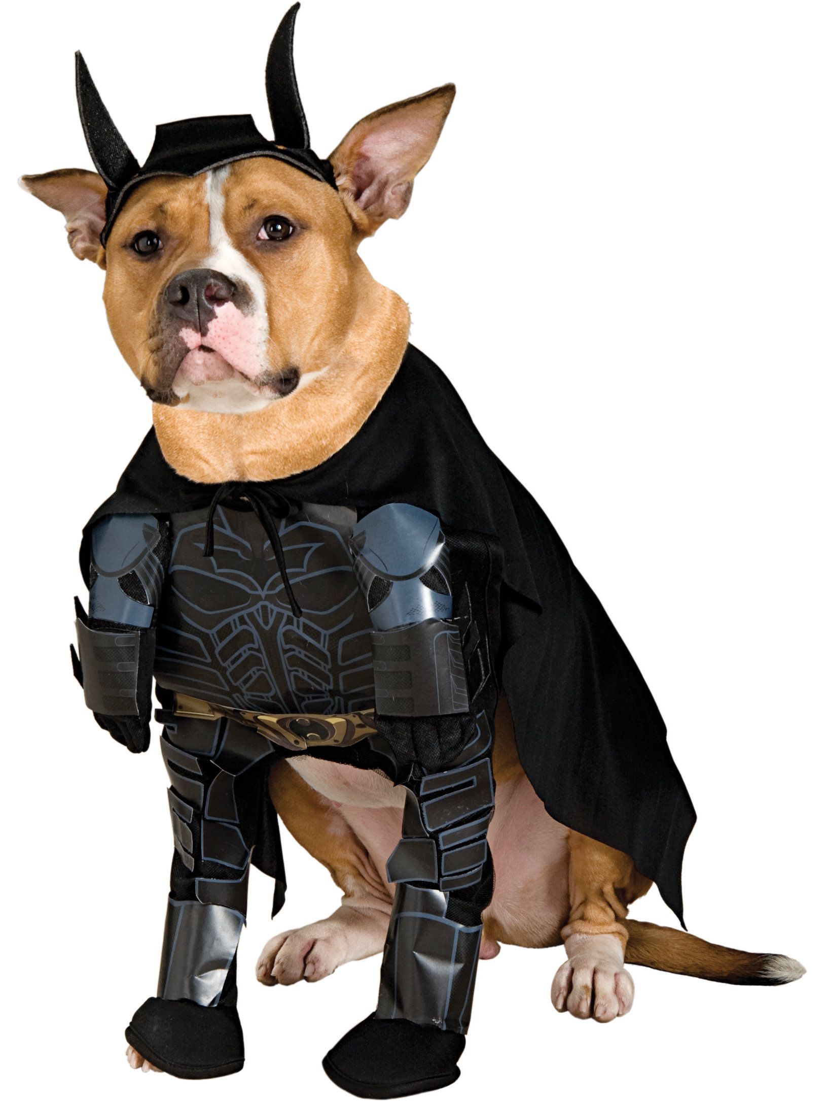 The Dark Knight Batman Walking Pet Costume - costumes.com