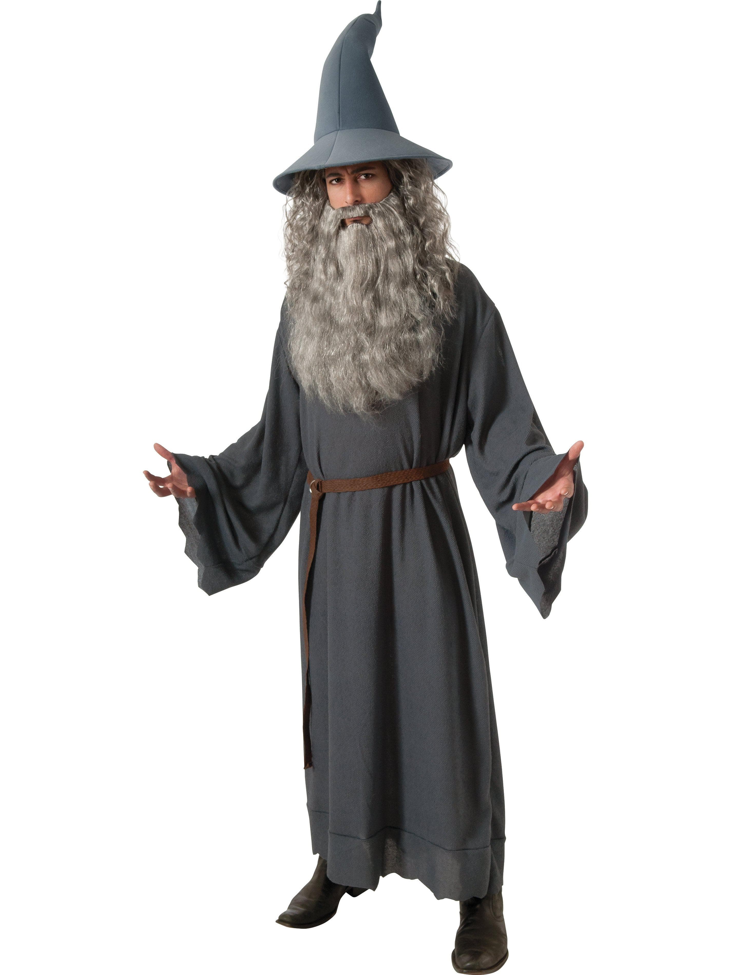 Adult The Hobbit/Lord Of The Rings Gandalf Costume - costumes.com