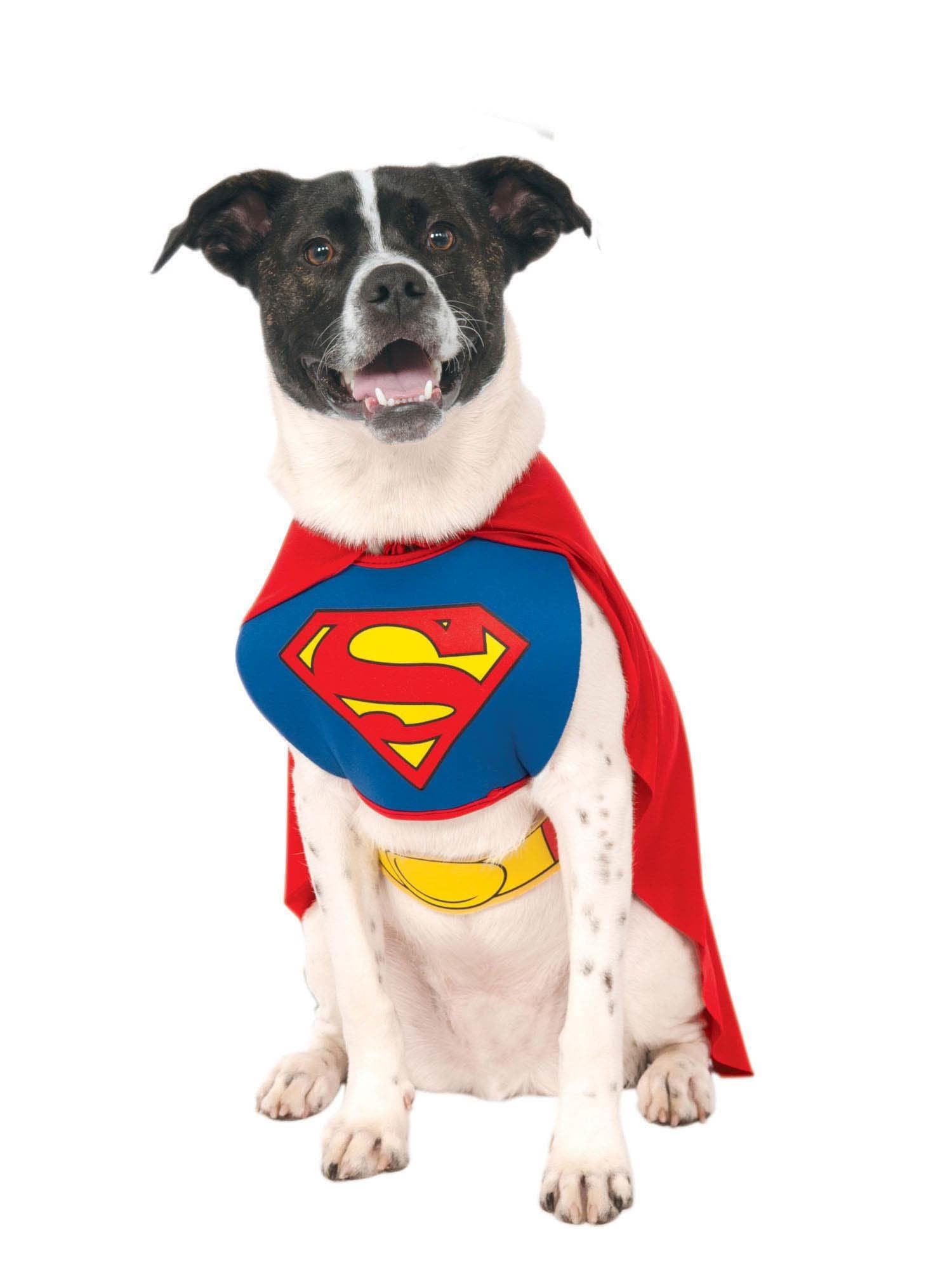 DC Comics Superman Pet Costume - Classic - costumes.com