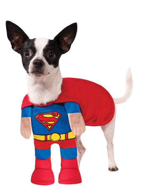 Superman Walking Pet Costume