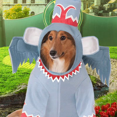 The Wizard of Oz Costumes for Kids, Adults, and Pets