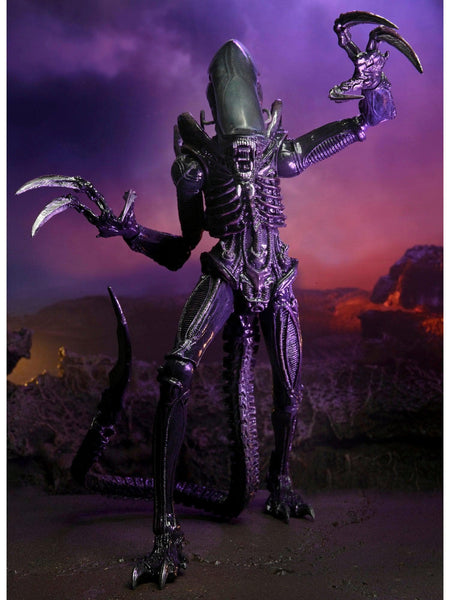 NECA - Alien vs Predator - 7 Scale Action Figure - Razor Claws Alien (Movie Deco)