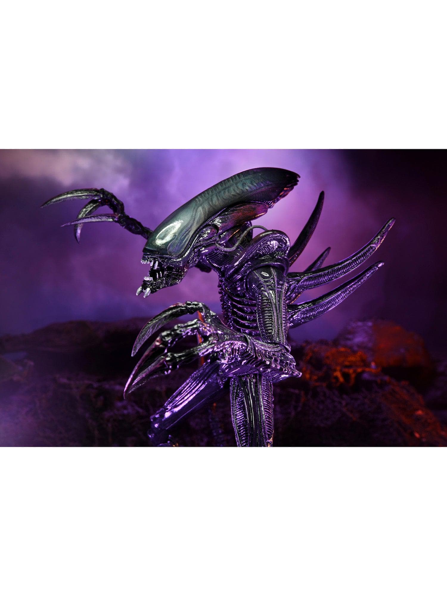 NECA - Alien vs Predator - 7" Scale Action Figure - Razor Claws Alien (Movie Deco) - costumes.com