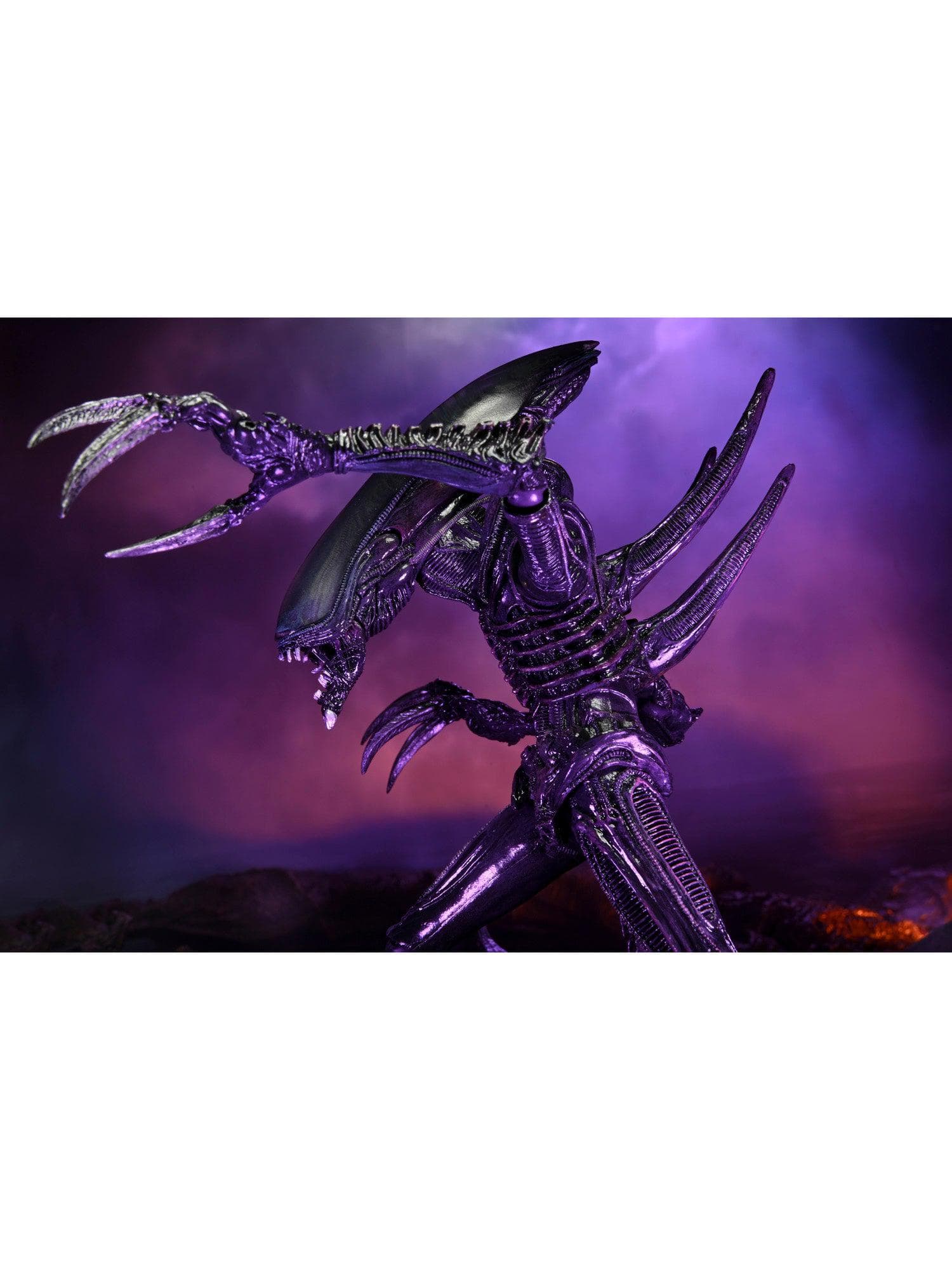 NECA - Alien vs Predator - 7" Scale Action Figure - Razor Claws Alien (Movie Deco) - costumes.com