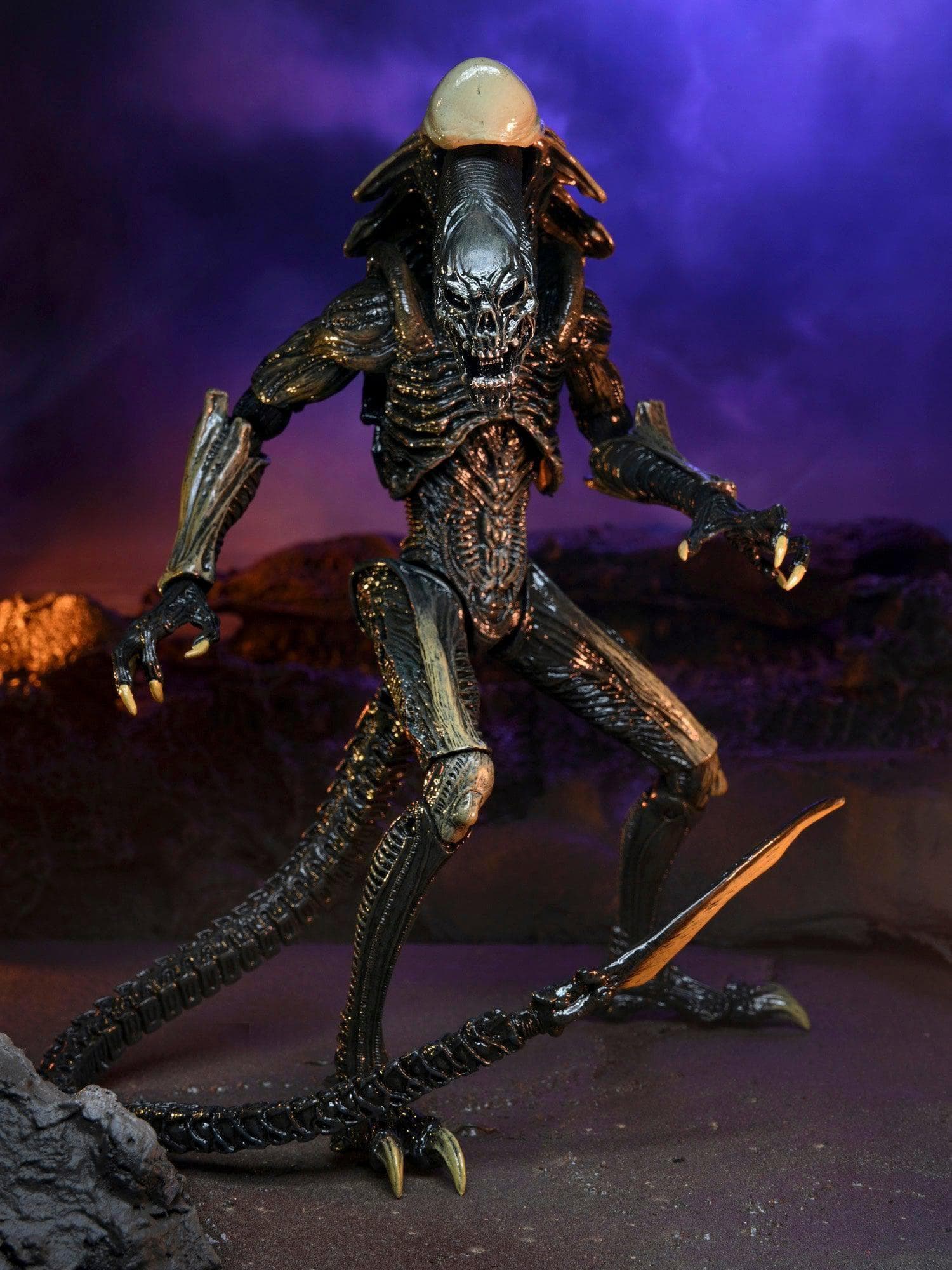 NECA - Alien vs Predator - 7" Scale Action Figure - Chrysalis Alien (Movie Deco) - costumes.com