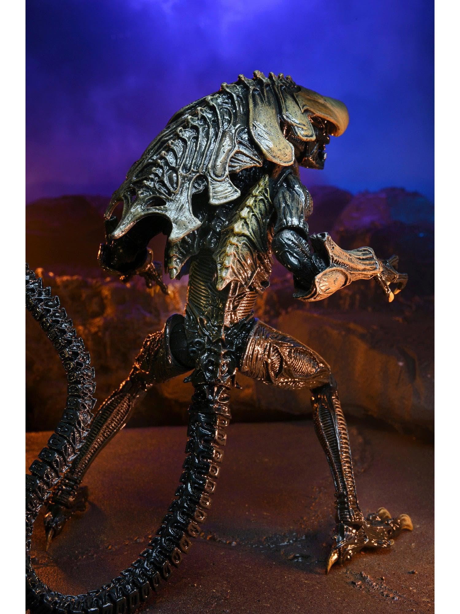 NECA - Alien vs Predator - 7" Scale Action Figure - Chrysalis Alien (Movie Deco) - costumes.com