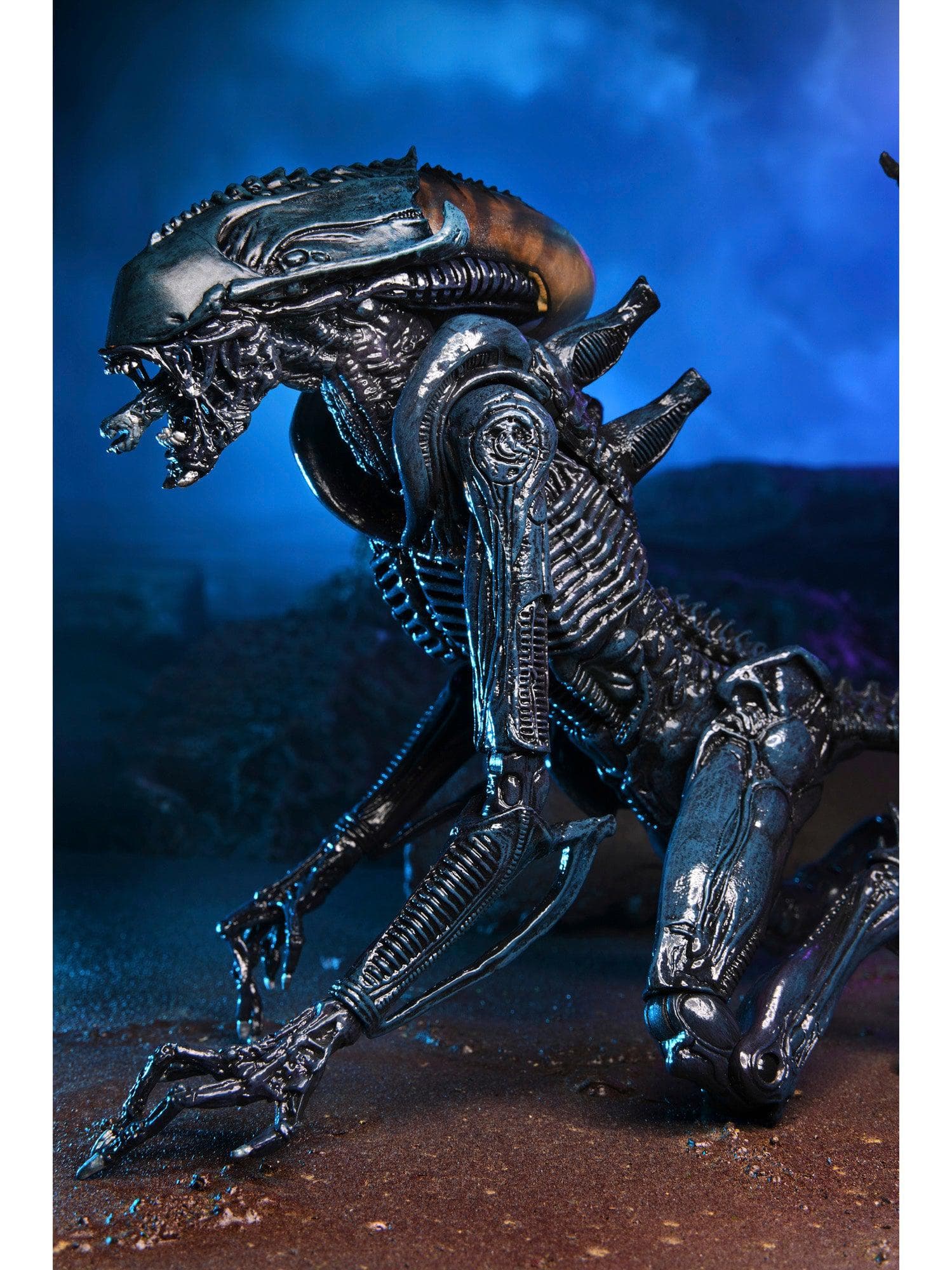 NECA - Alien vs Predator - 7" Scale Action Figure - Arachnoid Alien (Movie Deco) - costumes.com