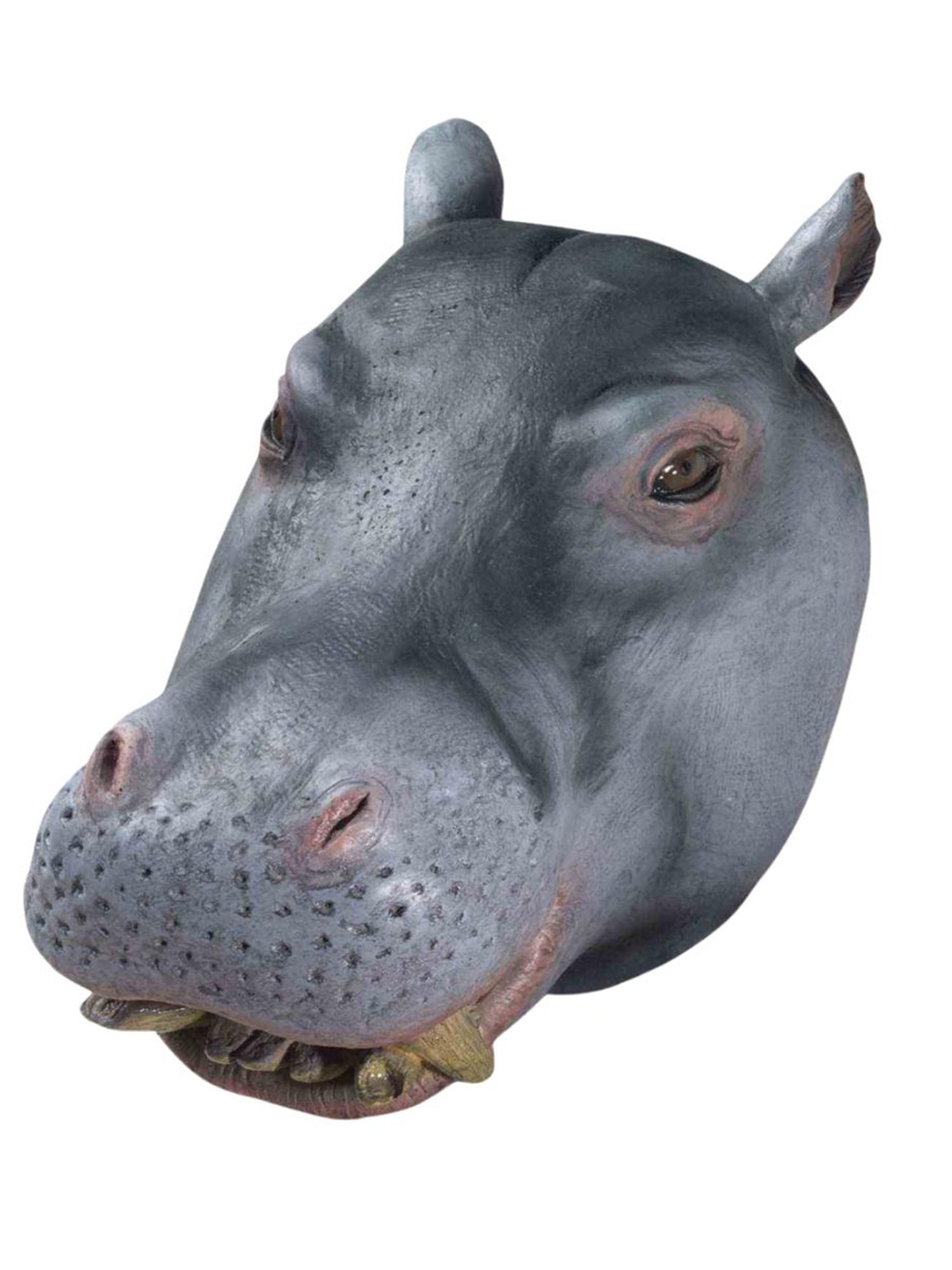 Adult Hippopotamus Overhead Latex Mask - Deluxe - costumes.com