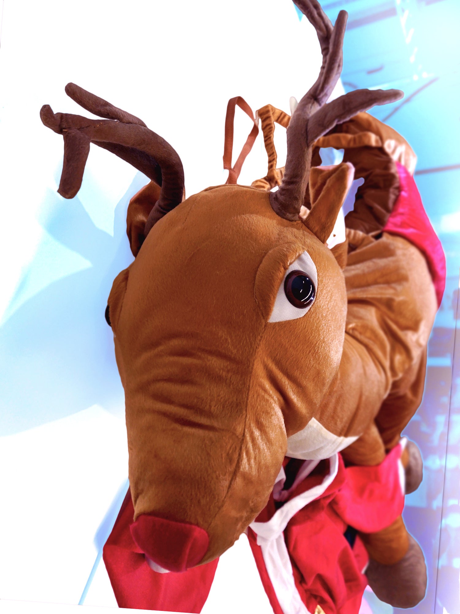 Adult Santa Ride In Reindeer Costume - costumes.com
