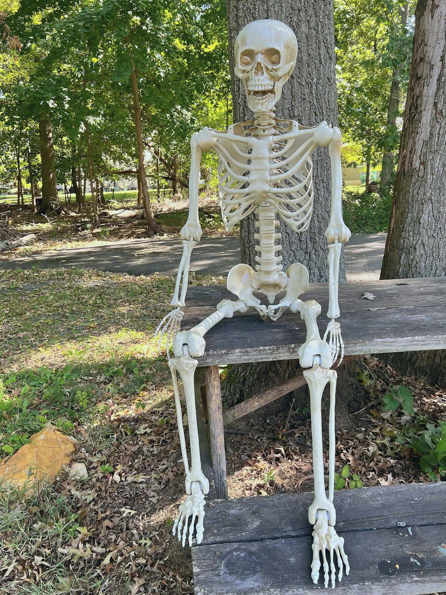 60-inch Posable Skeleton