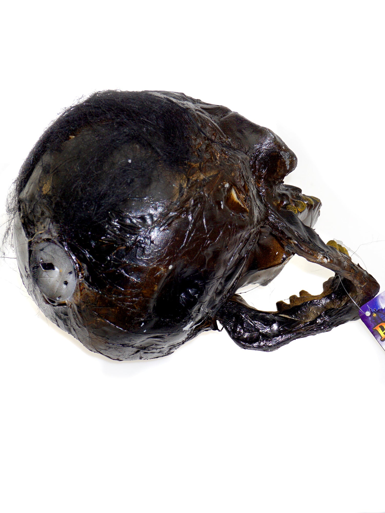 Creepy Rotten Head Decoration - costumes.com
