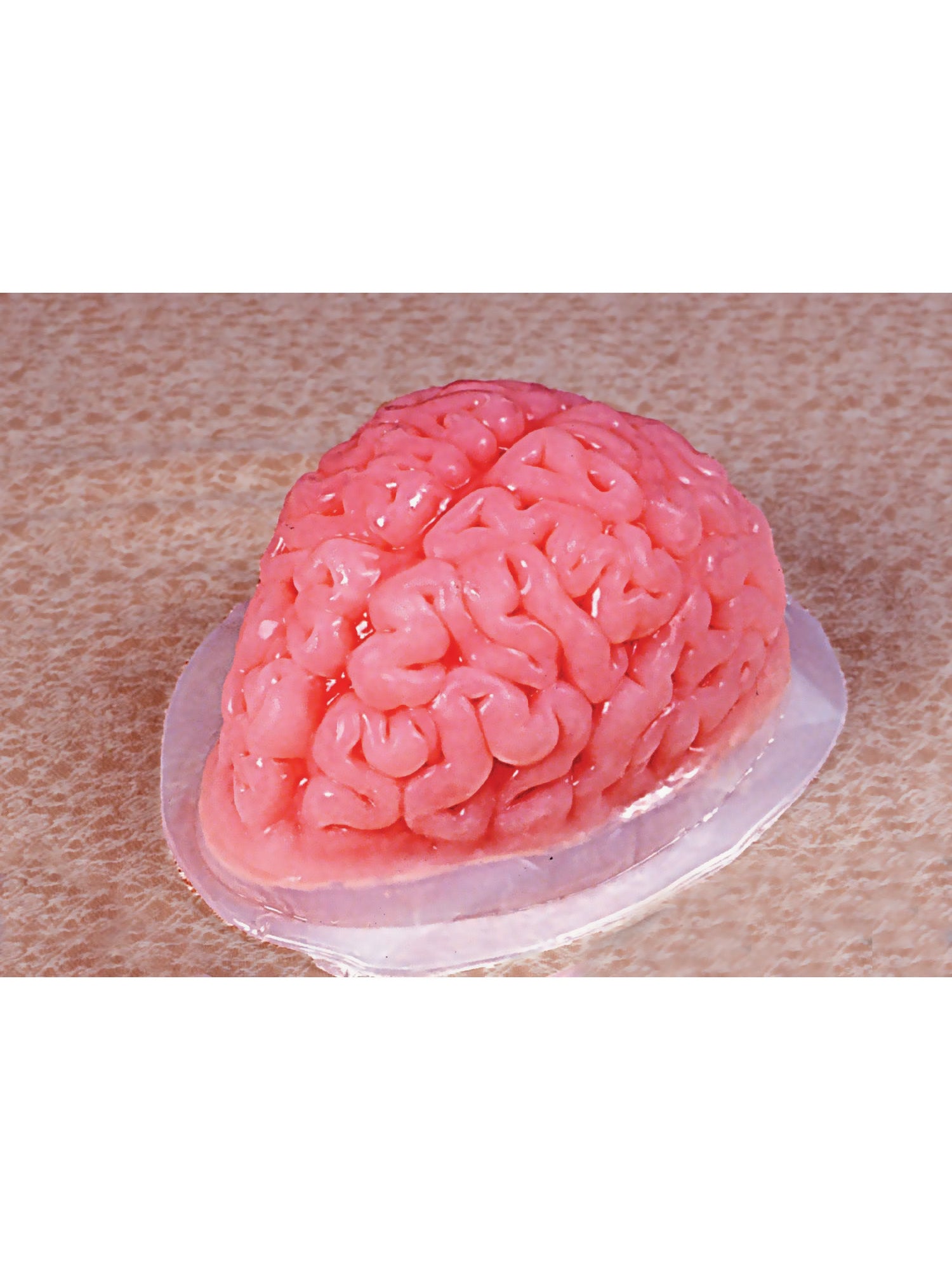 9-inch Brain Shaped Plastic Gelatin Mold - costumes.com