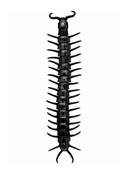 24-inch Giant Black Centipede Decoration