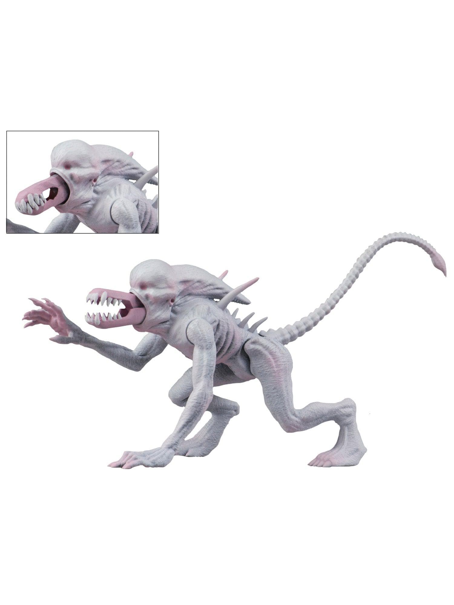 NECA - Alien & Predator Classics - 6" Figure - Neomorph Alien - costumes.com
