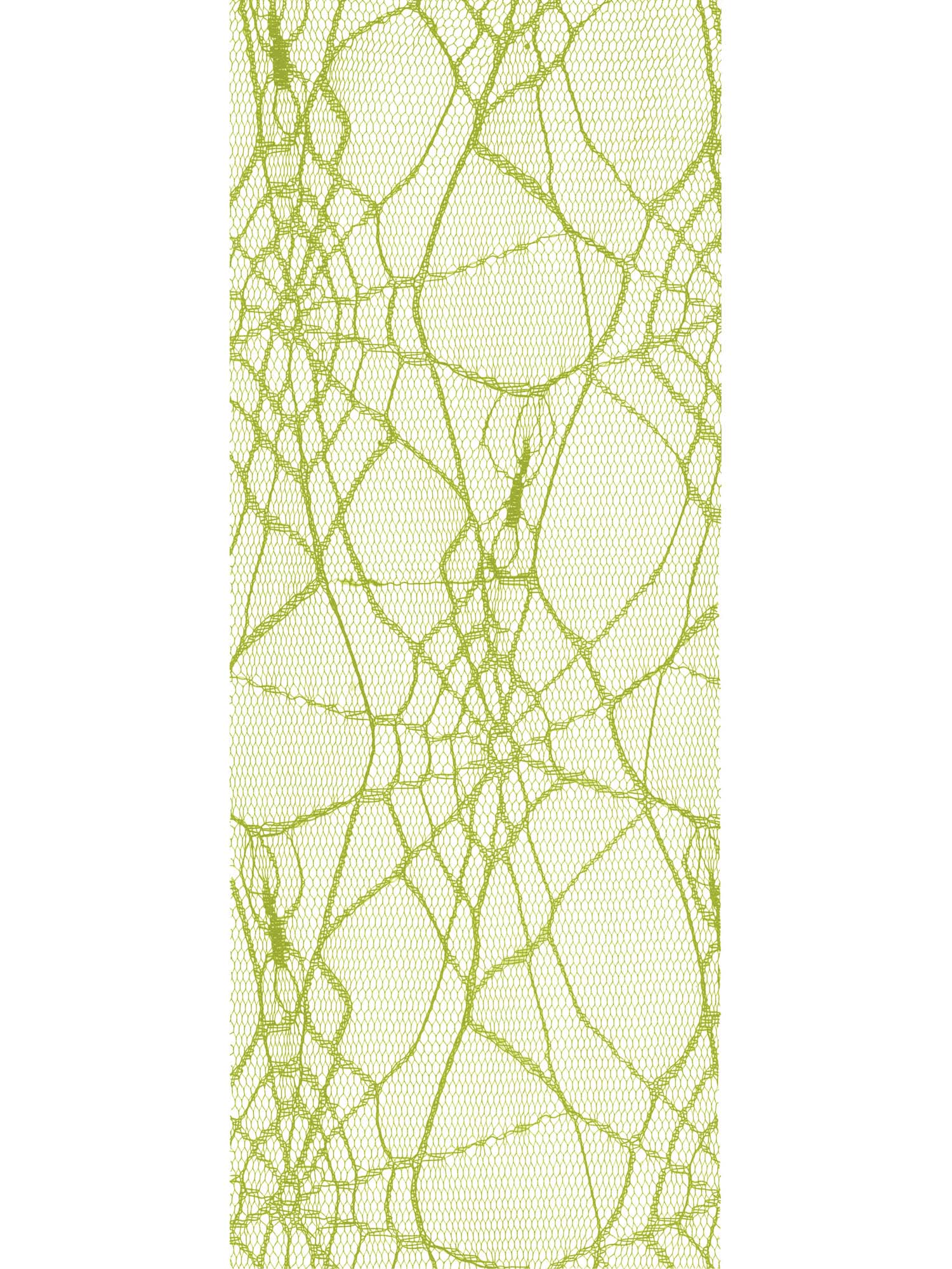 5 Yards Green Tulle Spider Web Decoration - costumes.com