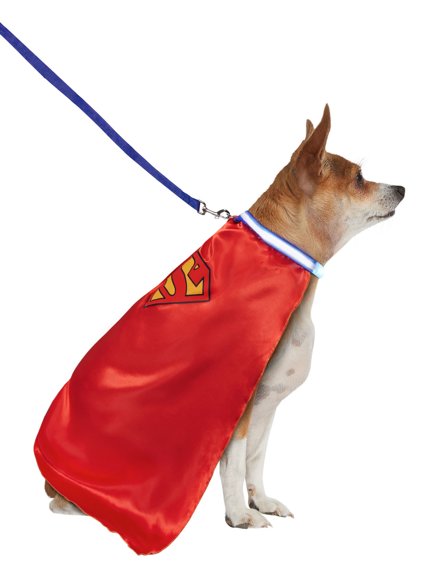 Superman Pet Cape and Light Up Collar with Leash - costumes.com