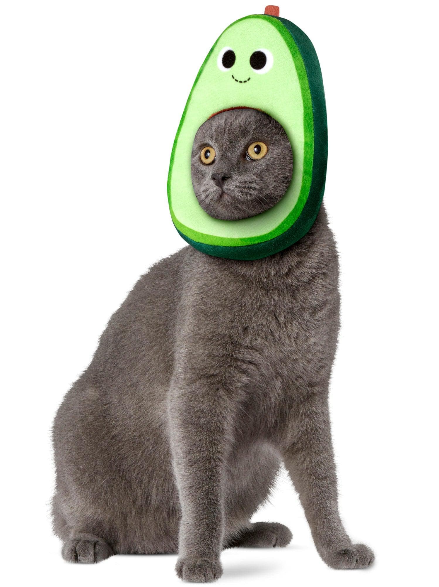 Yummy World Avocado Pet Headpiece by Kidrobot - costumes.com