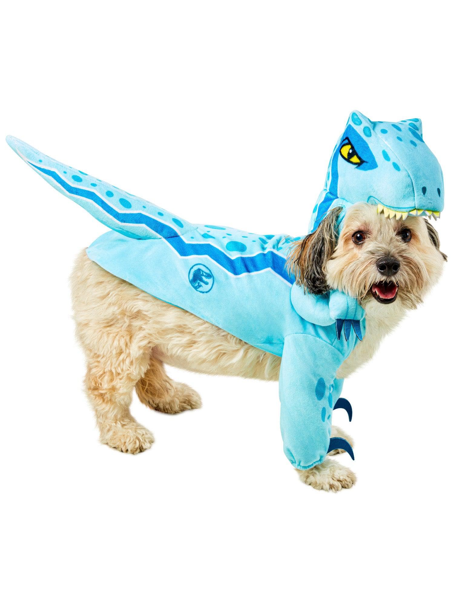 Jurassic World Blue Velociraptor Pet Costume - costumes.com