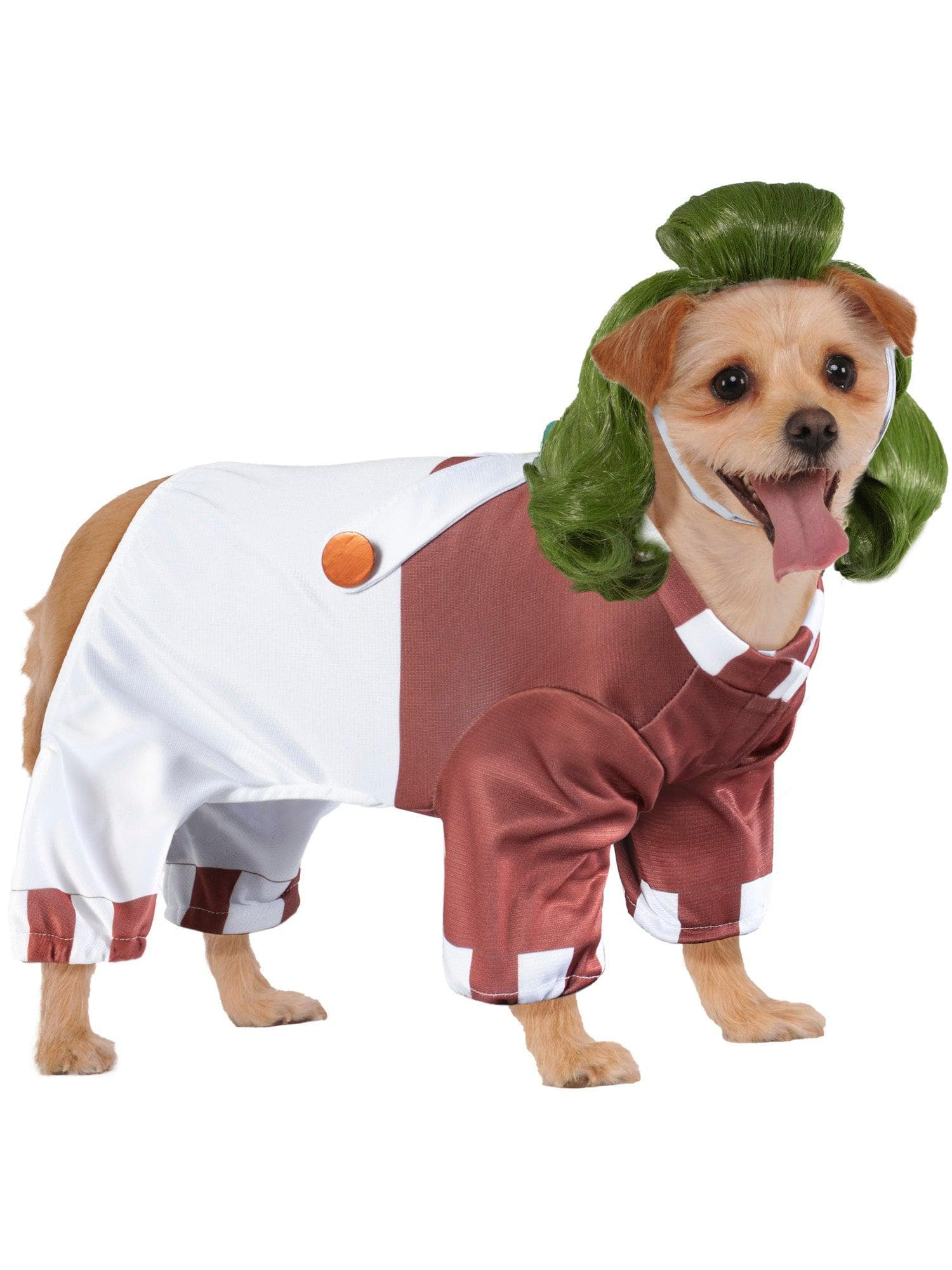 Willy Wonka Oompa Loompa Pet Costume - costumes.com