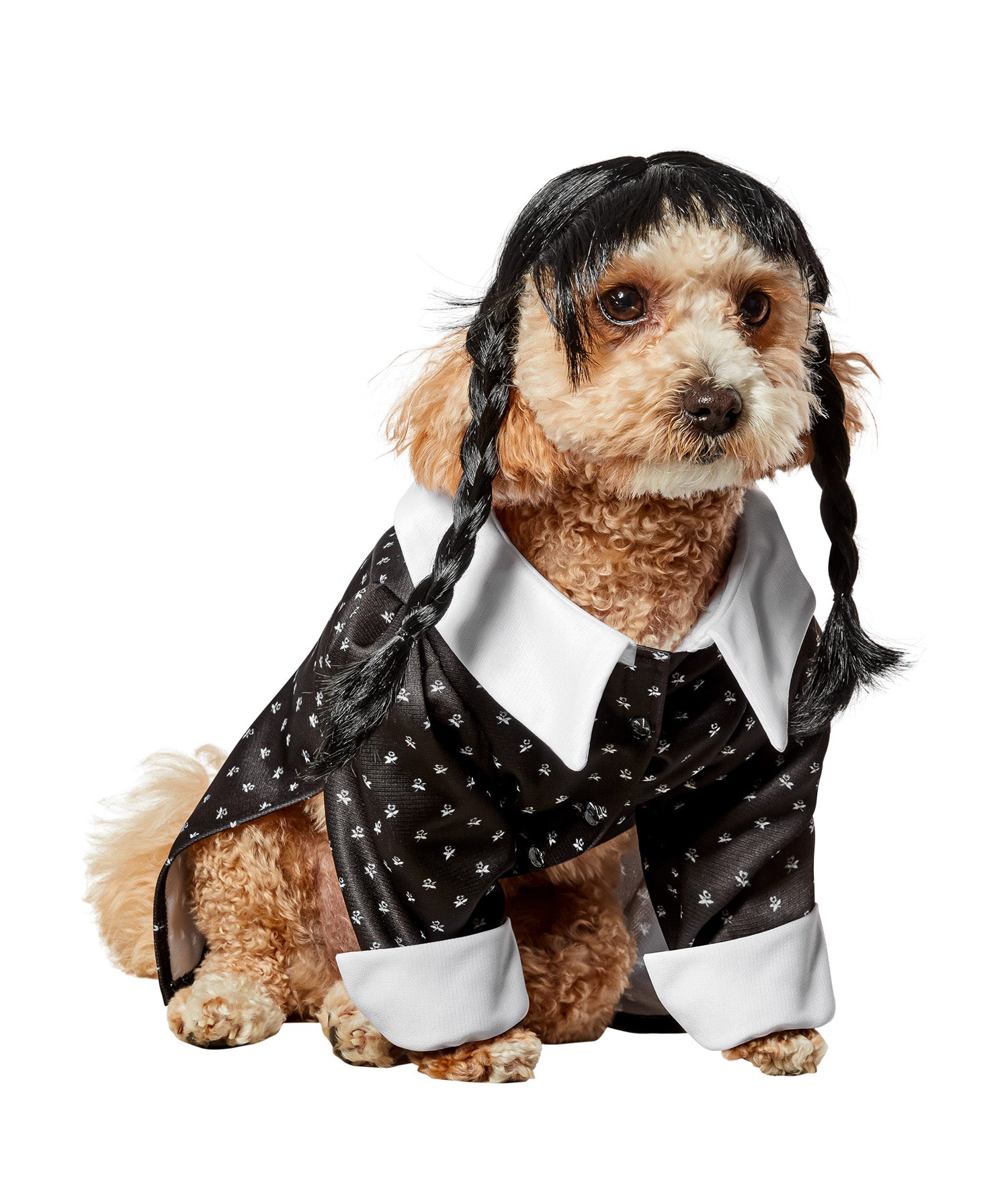 Wednesday Addams Pet Costume - costumes.com