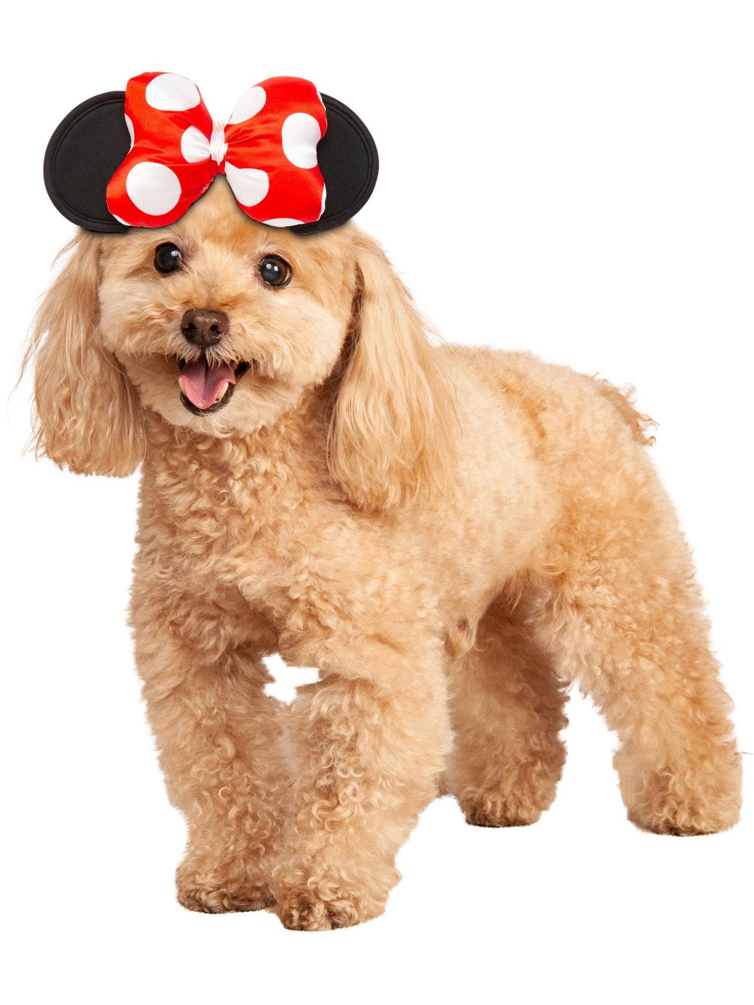 Minnie Mouse Pet Headpiece and Toy - costumes.com